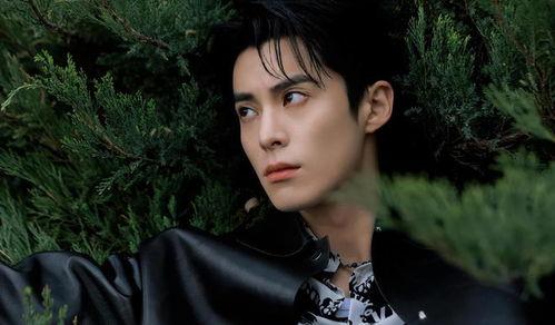 娱乐圈吃瓜爆料白鹿王鹤棣,甜蜜互动引粉丝热议 第2张 娱乐圈吃瓜爆料白鹿王鹤棣,甜蜜互动引粉丝热议 第2张